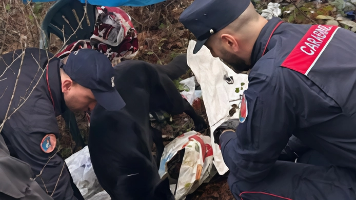 Uno dei bivacchi smantellati dall’Arma dei carabinieri nei boschi delle Cerbaie, a Fucecchio (Foto di repertorio)