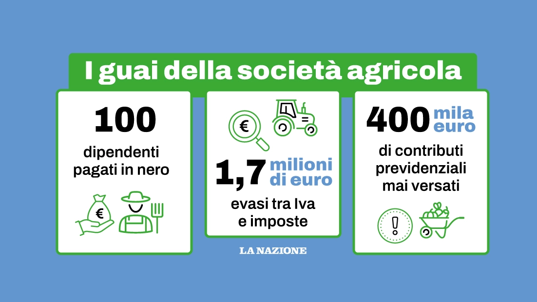 Grosseto, maxi evasione fiscale di un'azienda agricola. Cento dipendenti pagati in nero