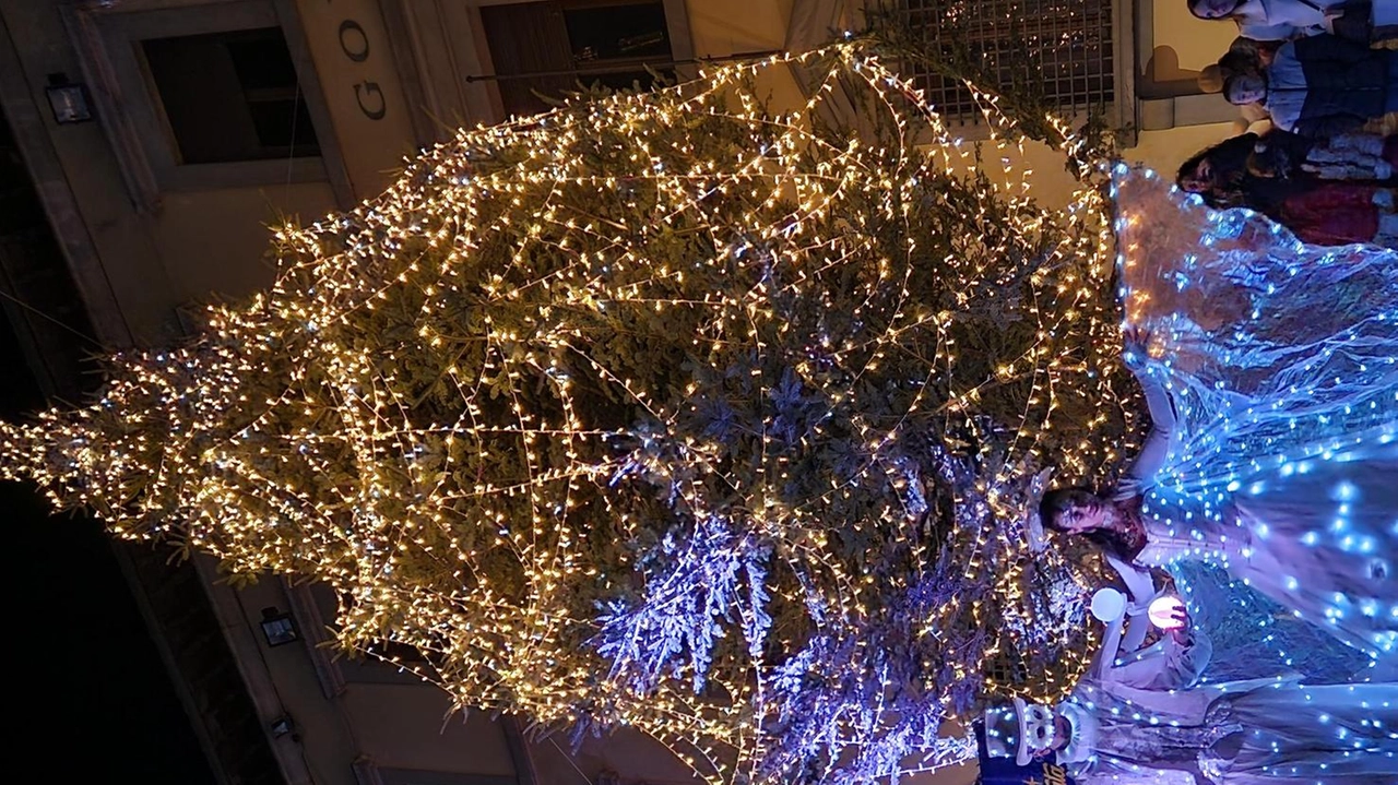 Il grande albero di Natale in Piazza del Duomo