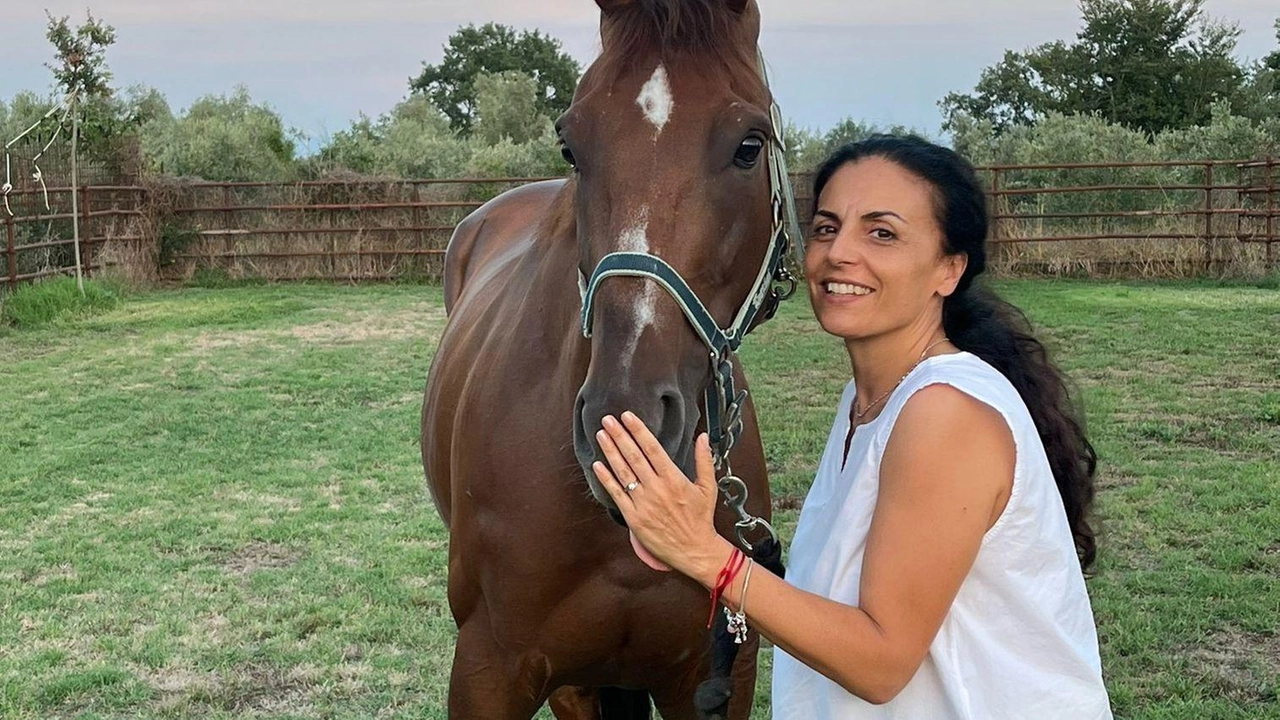 Colagè racconta la storia del suo barbero vittorioso che va pazzo per le caramelle alla menta "Lo vidi che stava in un campo insieme ad altri cavalli e alle vacche: mi piacque subito".