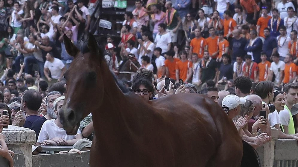 Luglio, doppio addebito al Nicchio per prova generale e corteo storico