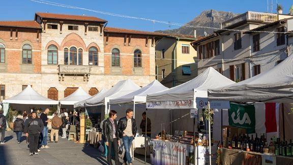 Per Andrea Riccardo Fornari (FdI) su 39 banchi presenti in piazza solo 4 riguardavano il cioccolato ed il resto erano ripartiti fra paninari, oggettistica e libri