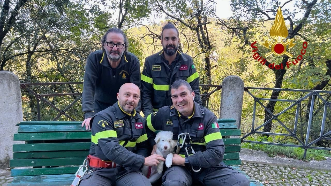 I vigili del fuoco con il cucciolo salvato