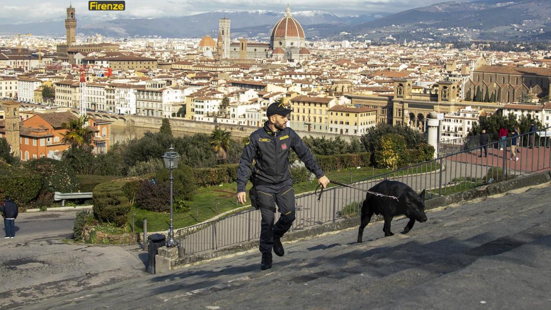 Addio a Geremy, l'eroe a quattro zampe: il cane della guardia di finanza che ha aiutato a sgominare il traffico di droga