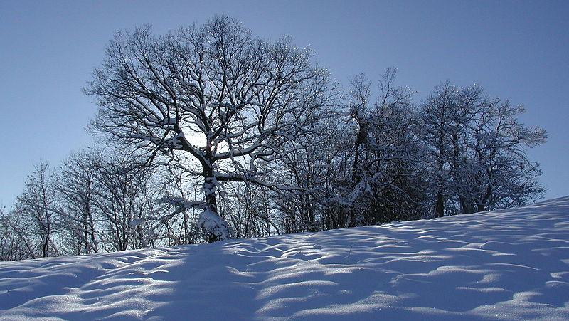 Quando arriva la prima neve in Toscana