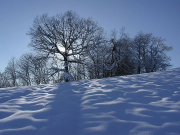 Quando arriva la prima neve in Toscana