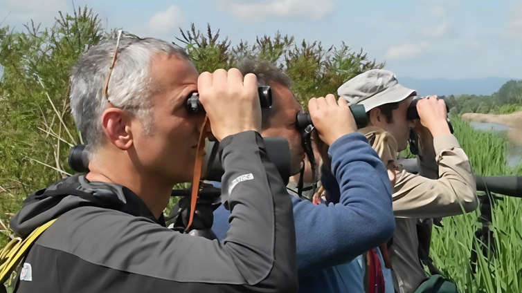 L'Oasi naturale di Arnovecchio a Empoli riapre al pubblico con una visita guidata domenicale alla scoperta dell'Estate del Martino. Possibilità di avvistare il Martin pescatore e altre specie di uccelli, accompagnati dal canto delle cicale. Prenotazione obbligatoria.