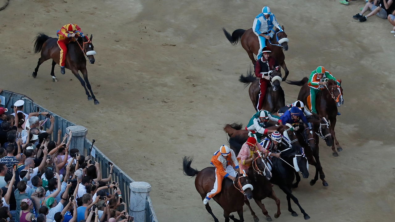 Palio, terza prova (Lazzeroni)