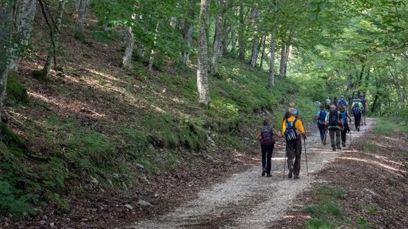 I grandi boschi sul monte Subasio