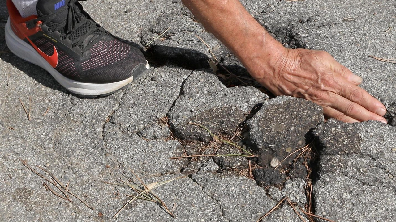 La segnalazione dei residenti. E a Cerreto un pioppo ’instabile’ nel giardino dell’asilo