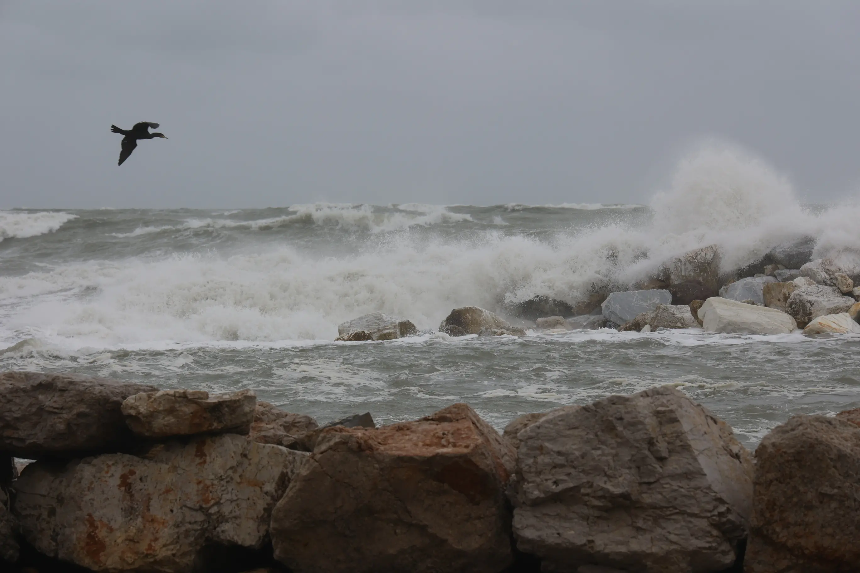 Maltempo, sassi in strada e allagamenti a Marina di Pisa