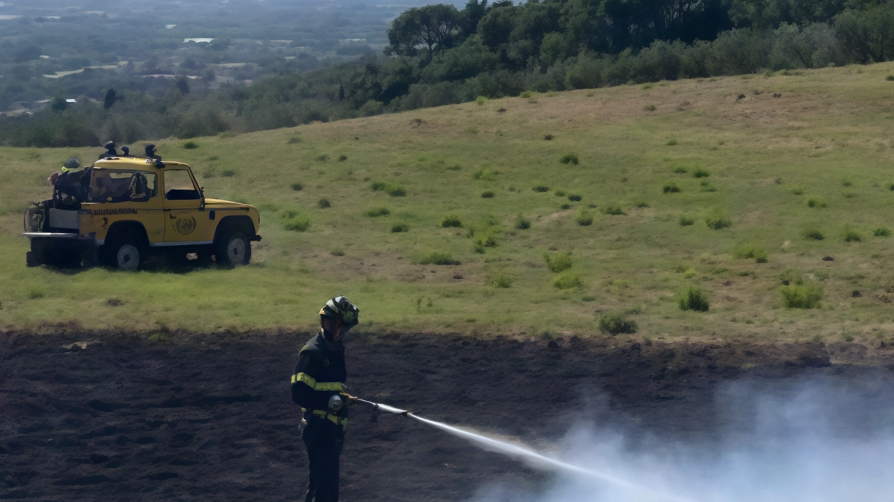 Incendio boschivo a Montemurlo domato dai vigili del fuoco di Prato, evitando danni a ruderi e oliveto. Ultimo di una serie che ha colpito la provincia.