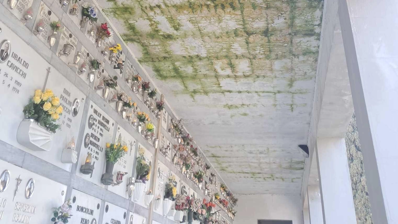 Il soffitto del cimitero pieno di infiltrazioni di acqua e muffa