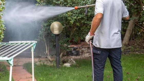 Minaccia insetti. Disinfestazione in varie zone