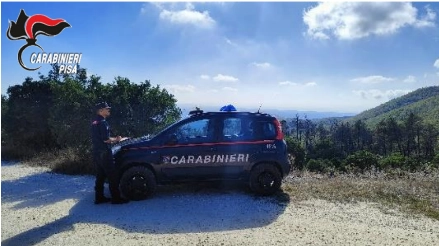 Il giallo è stato risolto dai carabinieri forestali