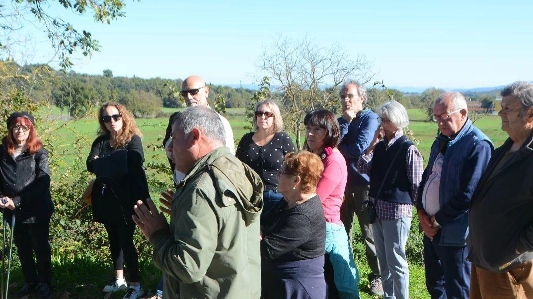 "No al parco fotovoltaico". La riunione del Comitato questa sera a Cavallano