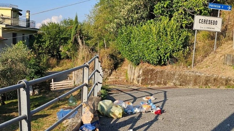 Cinghiali alla porta di casa. L’ira del sindaco Varese: "Non si vuole risolvere"