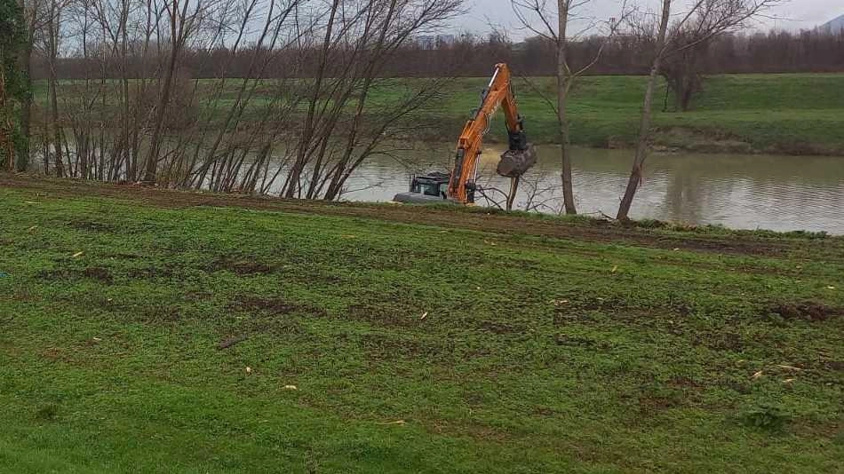 Le ruspe. impegnate nel «disboscamento». sull’argine di Riglione