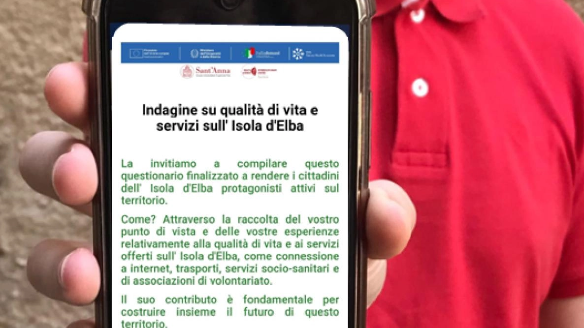 Il questionario online