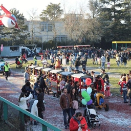 Giornata di Carnevali per una domenica tra corsi mascherati, carri allegorici e coriandoli