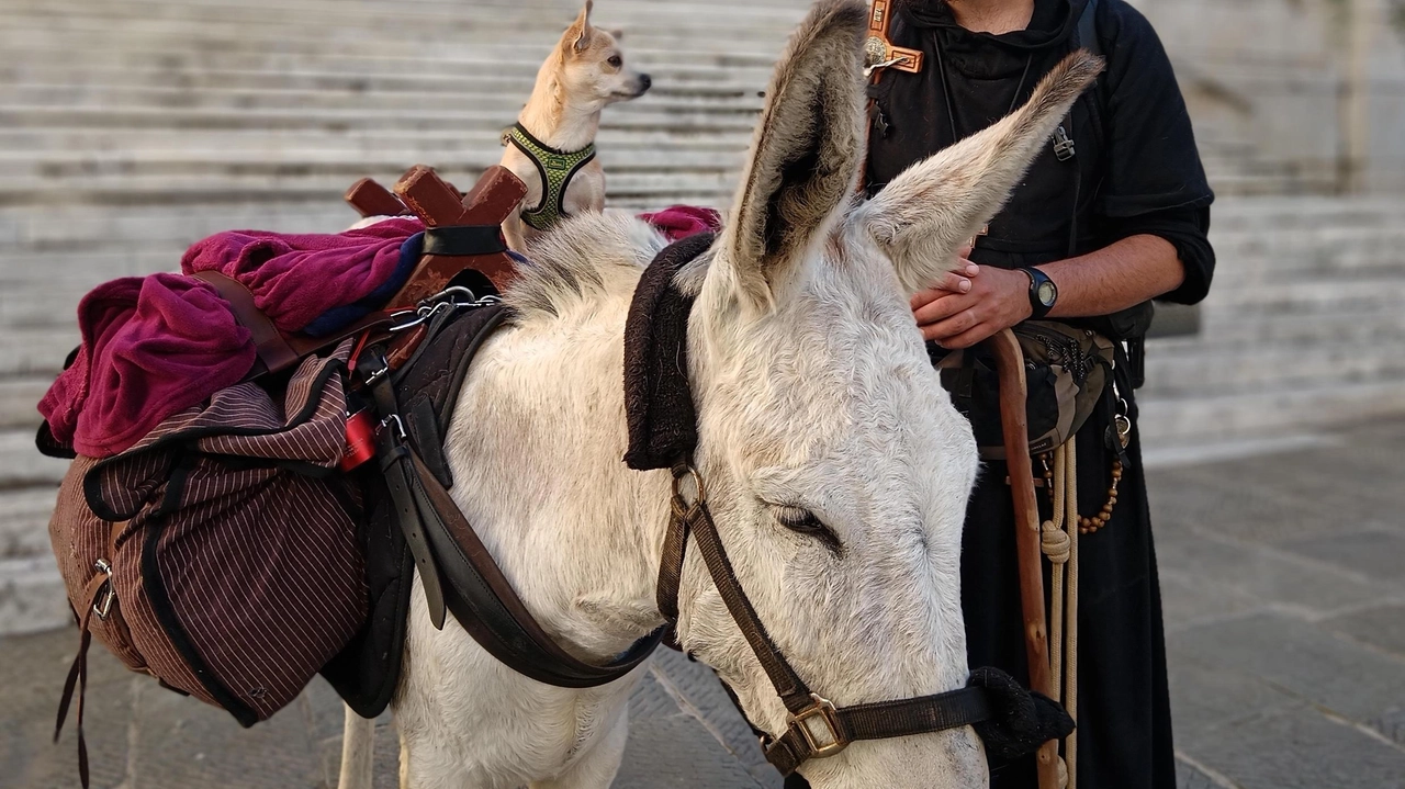 Tappa in provincia lungo la Francigena, da Pontremoli a Massa, per il frate francese Brice e suoi due animali. Arriverà a Palermo