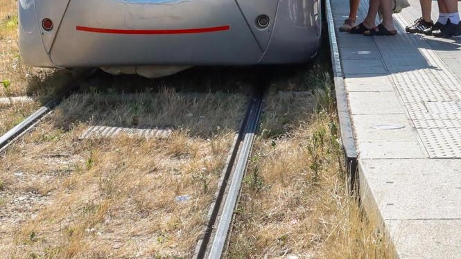 Mattinata complicata a Firenze per pendolari e automobilisti a causa del maltempo e di un guasto alla tramvia. Disagi alle linee T1 e T2 con servizi limitati e sostitutivi. Traffico veicolare rallentato nel viale Redi e lungarno Ferrucci.