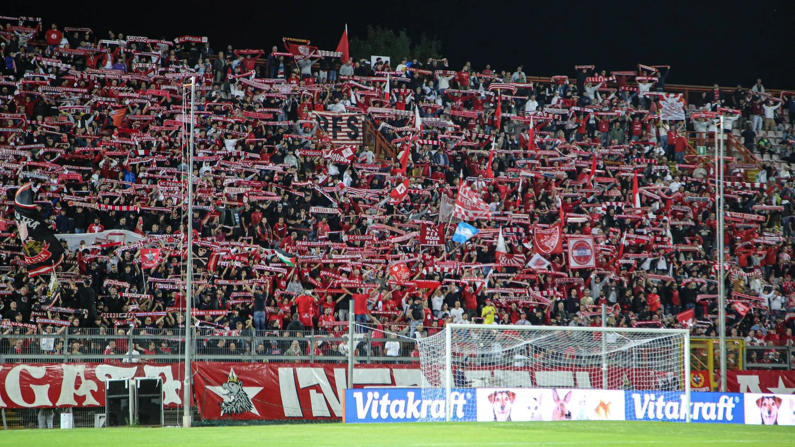 Il Perugia adesso chiama i tifosi allo stadio : "Vi aspettiamo al Curi: fate l’abbonamento"