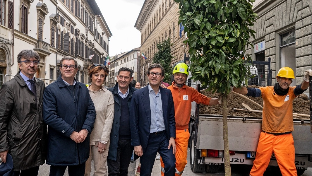 Gli aranci di via Cavour 