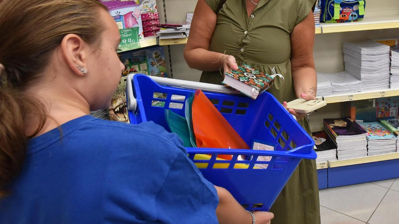 Un acquisto in cartoleria di materiale scolastico: ogni inizio del nuovo anno serve un kit (. foto di repertorio