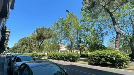 Scudo verde in arrivo a Firenze (foto Ansa)