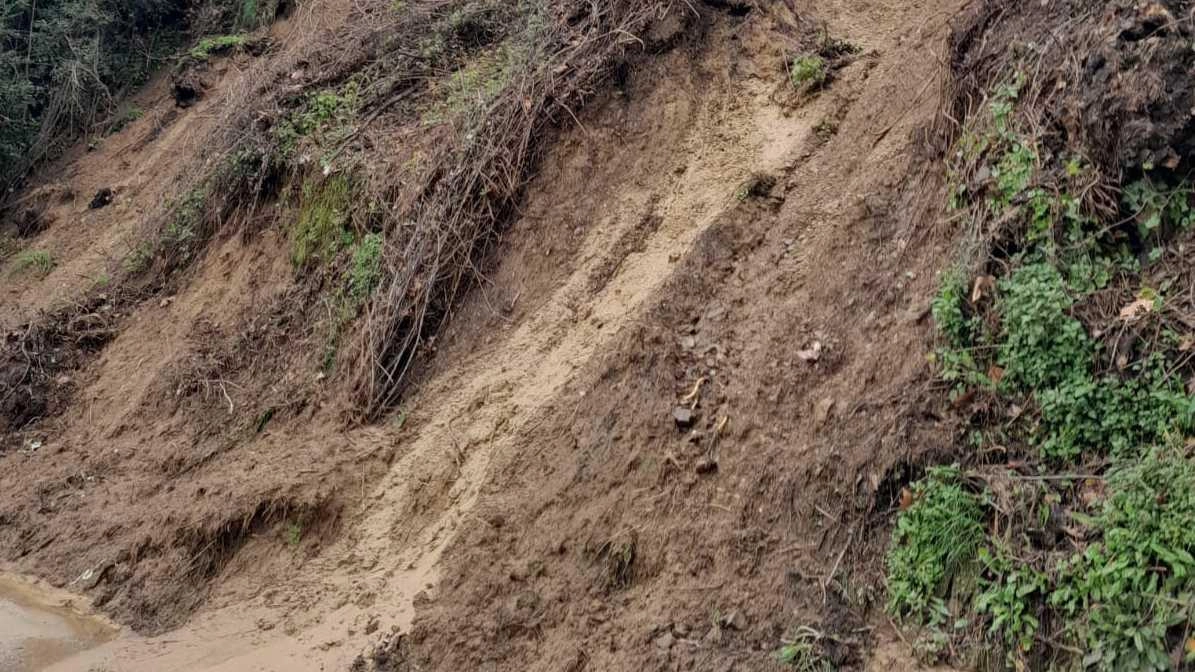 Massaciuccoli isolata dal mondo. Chiuse tutte le strade di accesso: "Il Comune non muove un dito"