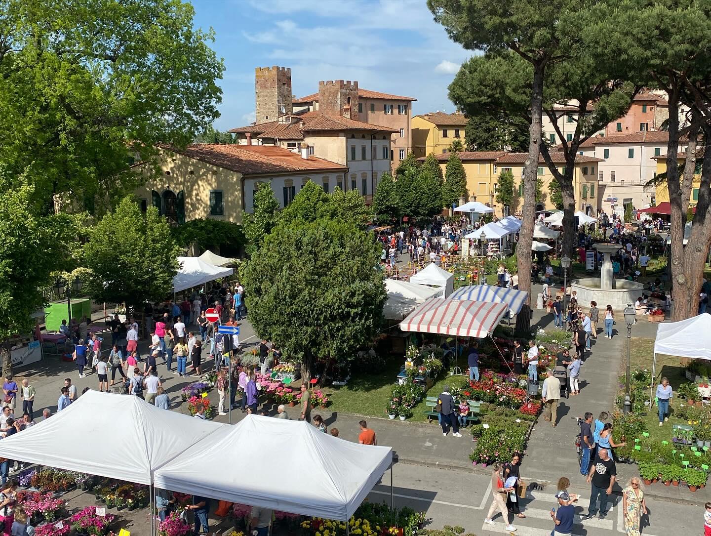 Vicopisano: aperte le iscrizioni per esporre a Vicopisano Castello in Fiore