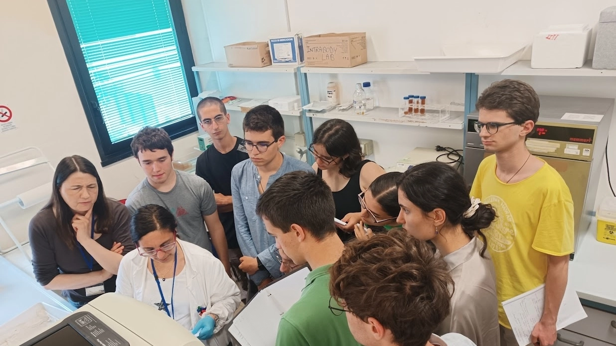 Gli studenti nel Laboratorio