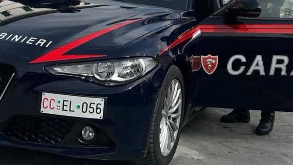 I carabinieri di Sarzana hanno trovato nascosti nella vettura 15 grammi di cocaina