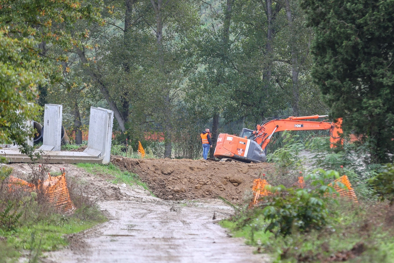 Nel mirino gli argini dell'Elsa (Foto Gasperini/Germogli)