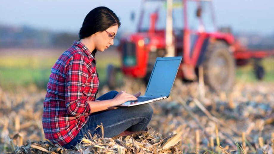 Agricoltura,  serve più sicurezza. In aumento infortuni e malattie