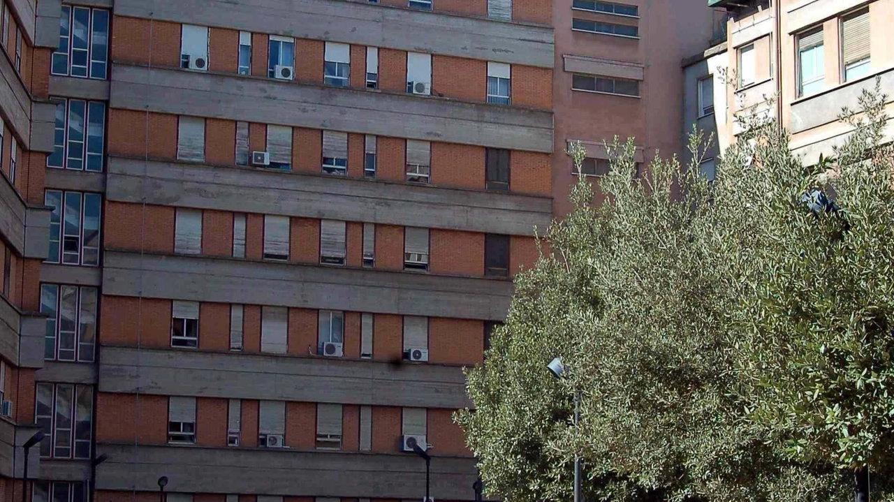 Cena di Natale al PalaTerni. Scambio di auguri tra addetti dell’ospedale