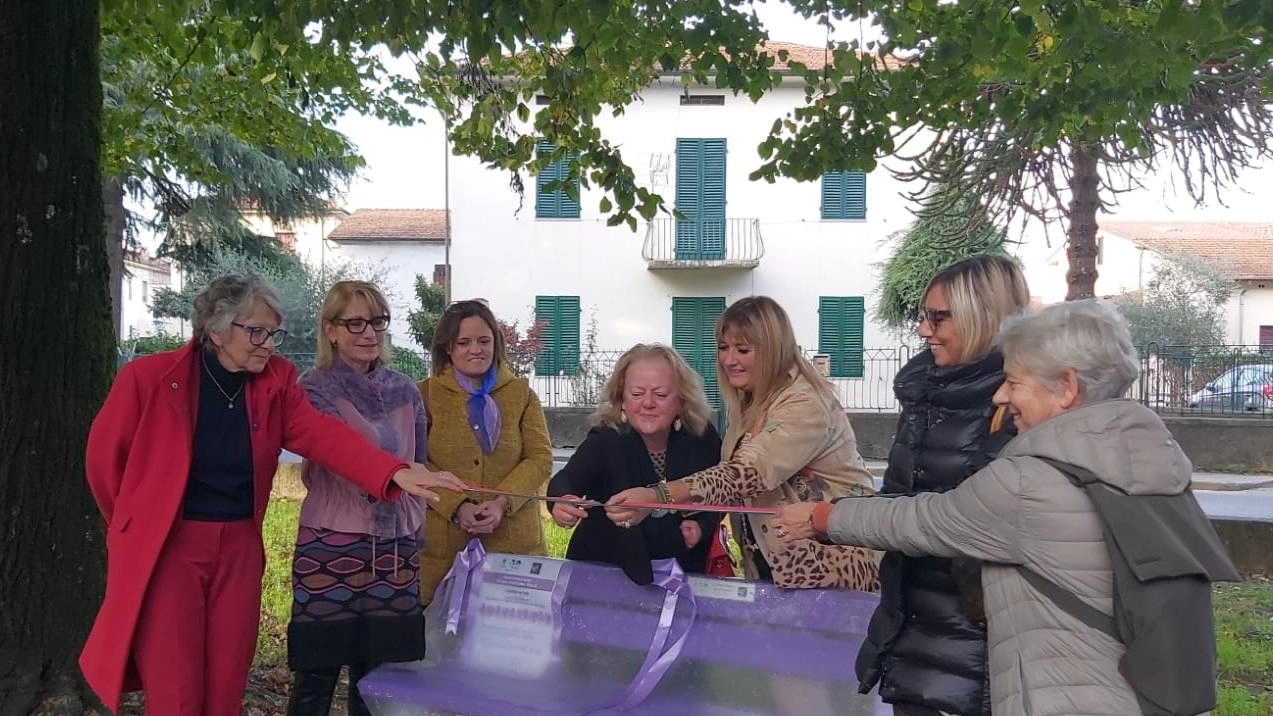 Fidapa a fianco dei malati “invisibili“. Inaugurata la panchina viola a Sant’Anna