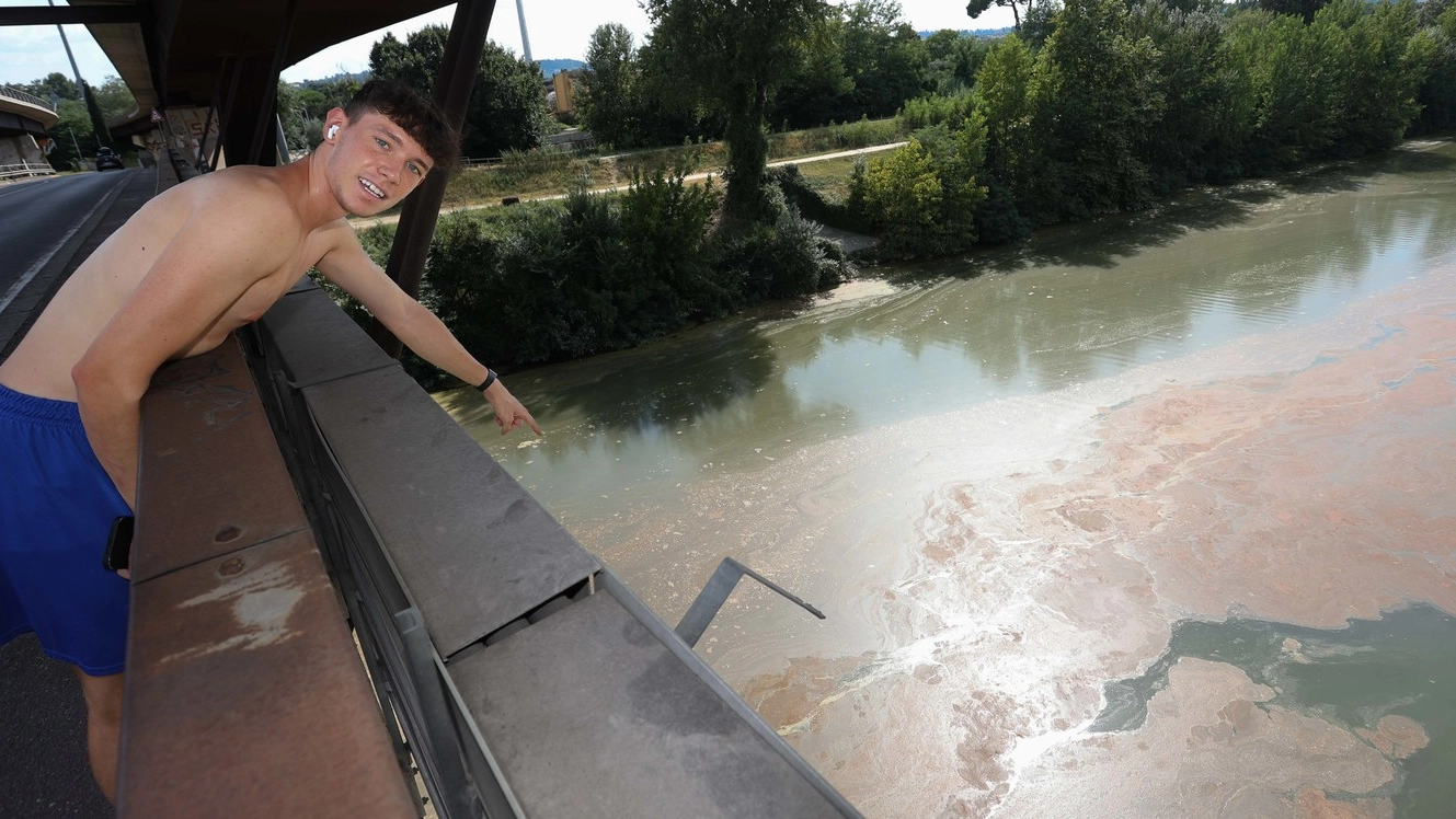 La chiazza apparsa in Arno: si tratta di alghe, che affiorano a causa del caldo