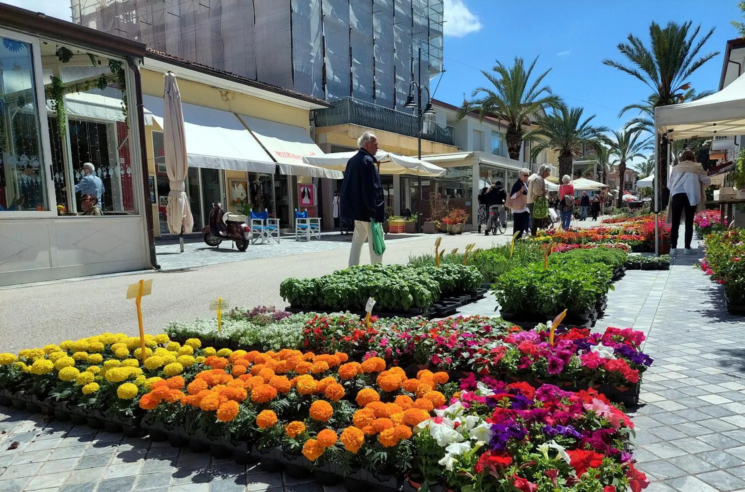 Marina in Fiore, che benvenuto alla primavera