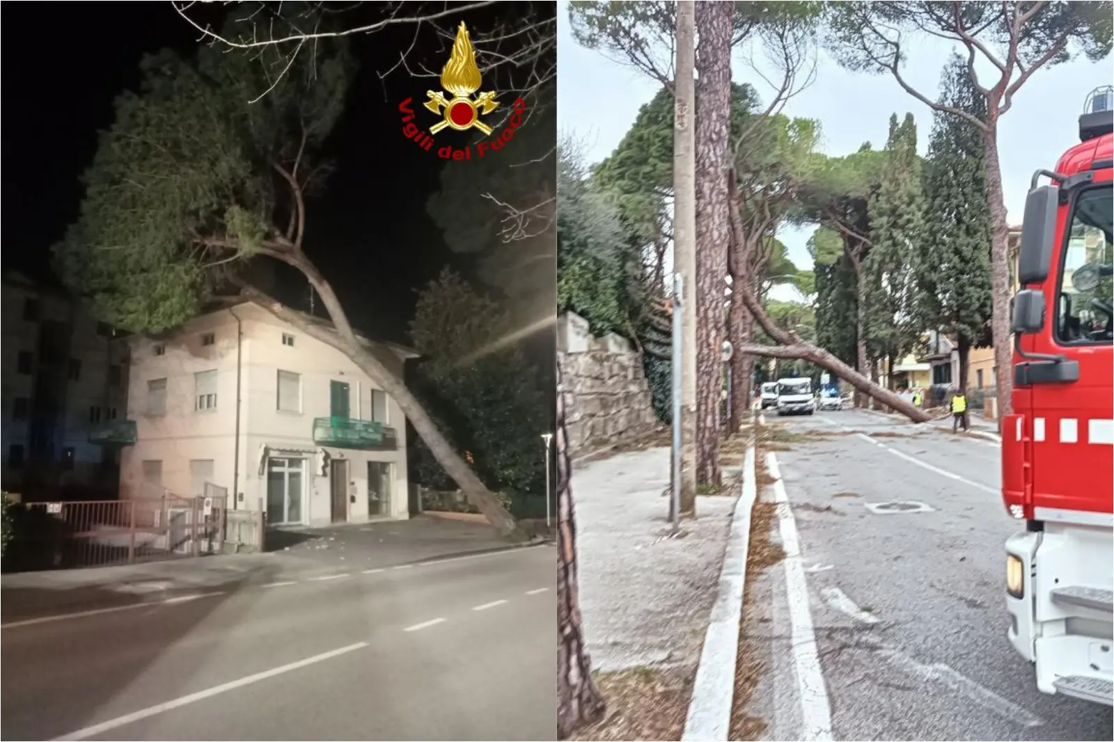 Vento forte, alberi caduti e linee elettriche danneggiate: il maltempo si abbatte sulla Toscana