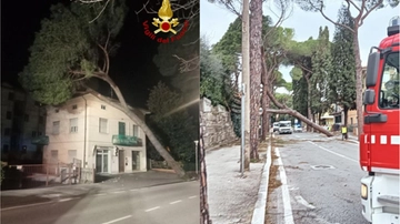 Vento forte, alberi caduti e linee elettriche danneggiate: il maltempo si abbatte sulla Toscana