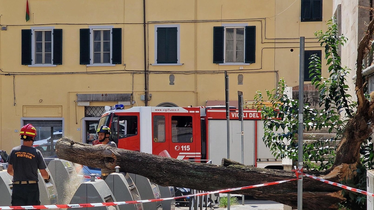 I vigili del fuoco hanno messo in sicurezza la zona (fotoservizio Acerboni/FotoCastellani)