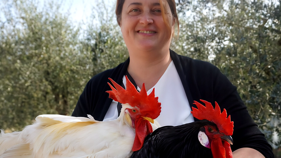 Laura Peri da 20 anni, sulle colline della città, si dedica a questa attività in campagna secondo la tradizione appresa dalla famiglia