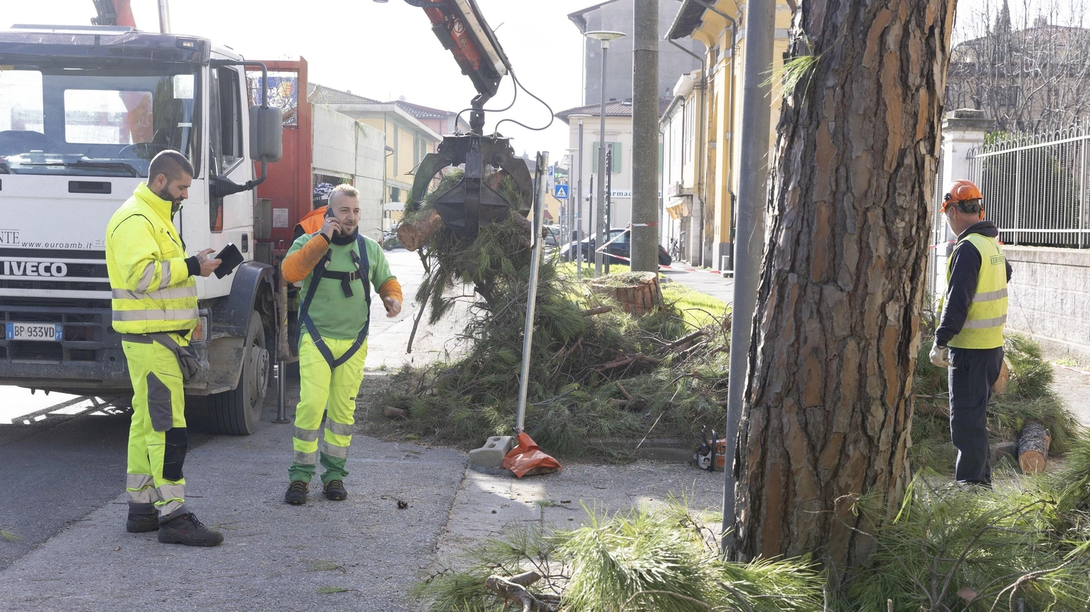 Taglio degli alberi nei quartieri: "Non è vero che uno vale... uno"