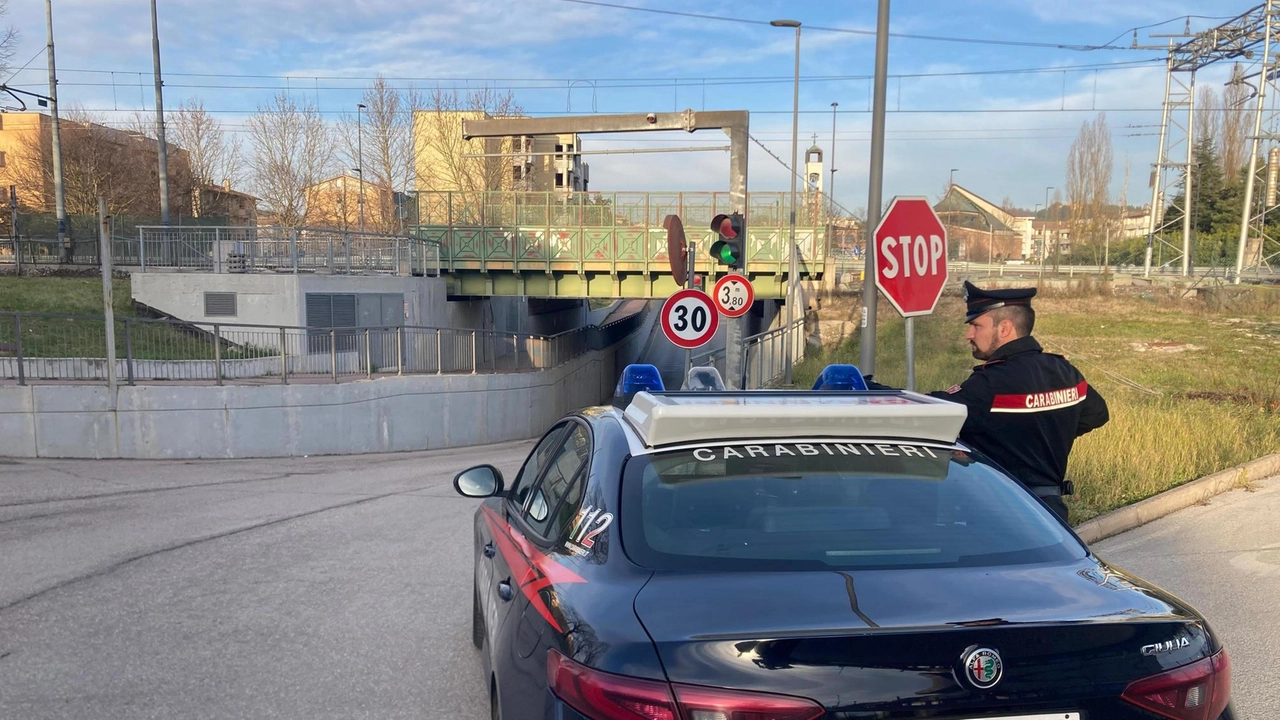 I carabinieri hanno portato avanti le indagini