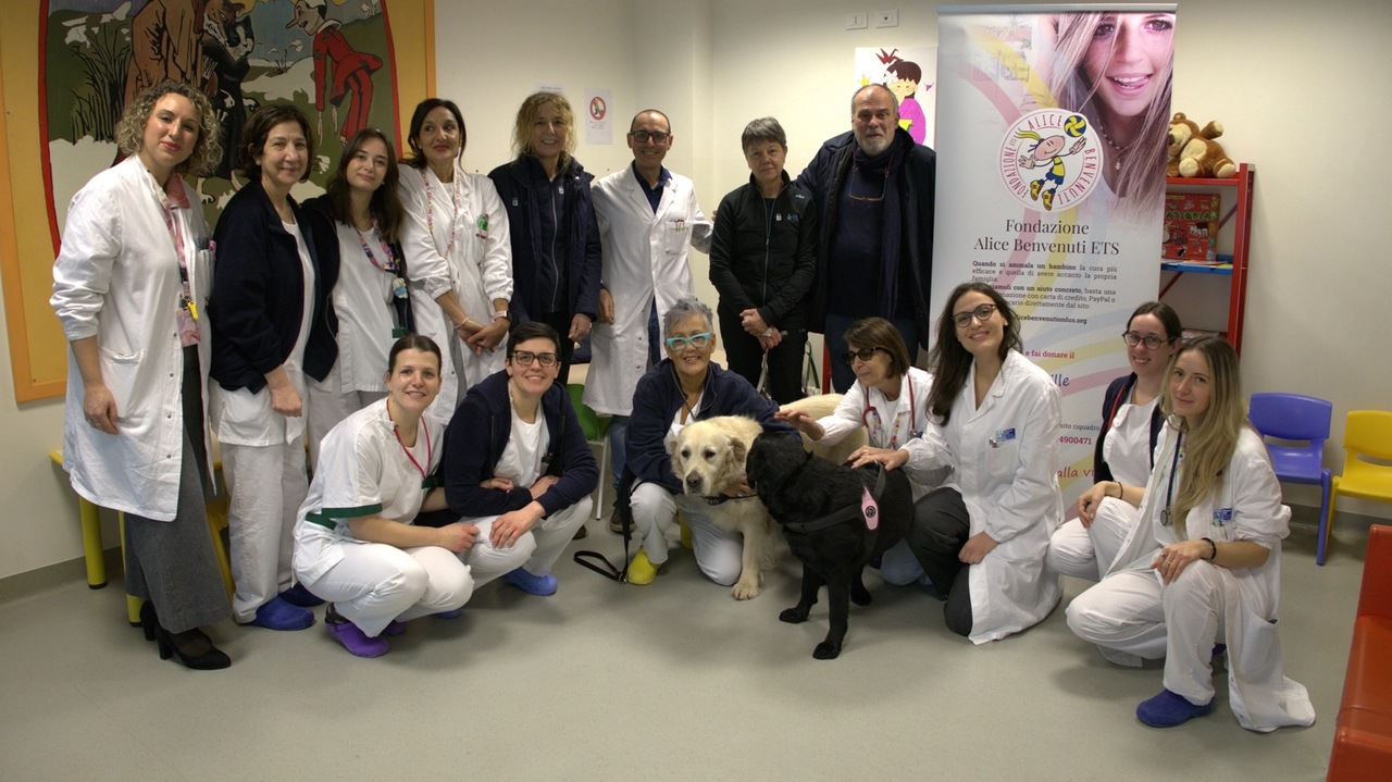 Achille a India protagonisti del progetto di pet therapy nel reparto di pediatria dell'ospedale San Luca di Lucca