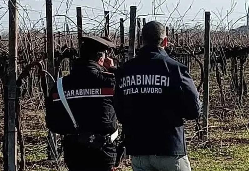 Caporalato e sfruttamento. Arrestato il ’datore di lavoro’ . Inchiesta partita da una denuncia