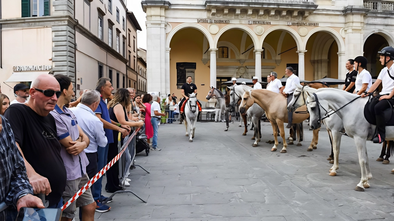 La sfilata nel centro storico di Città di Castello è stato un momento importante e partecipato dell’edizione 2024 della ’Mostra del Cavallo’