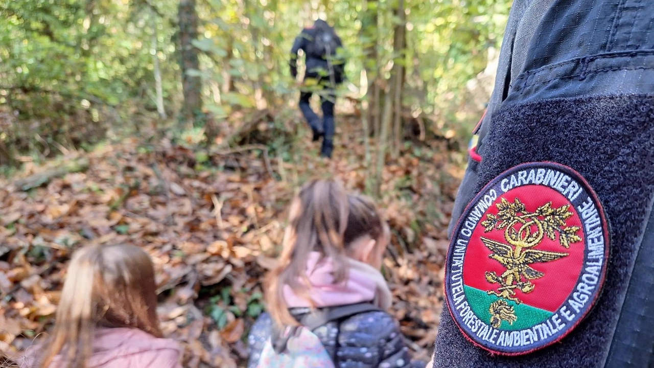 Bella iniziativa organizzata dal Wwf con i carabinieri del Reparto biodiversità di Siena nella riserva di Montecellesi alle porte del capoluogo